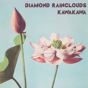 有关肛门的电影
