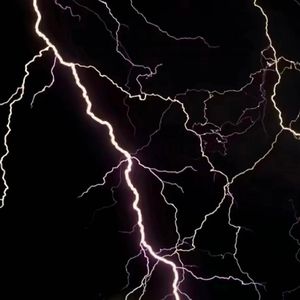 有关肛门的电影
